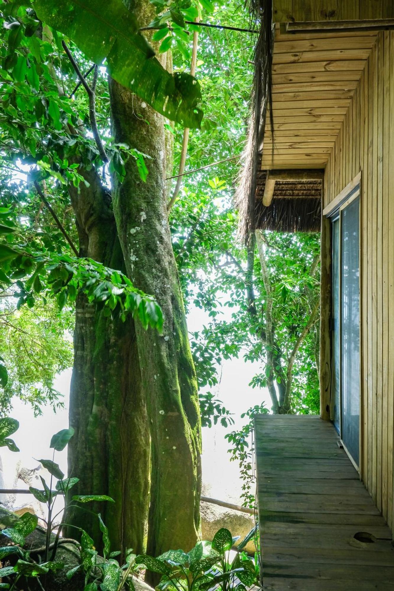Casa Luz Guest house